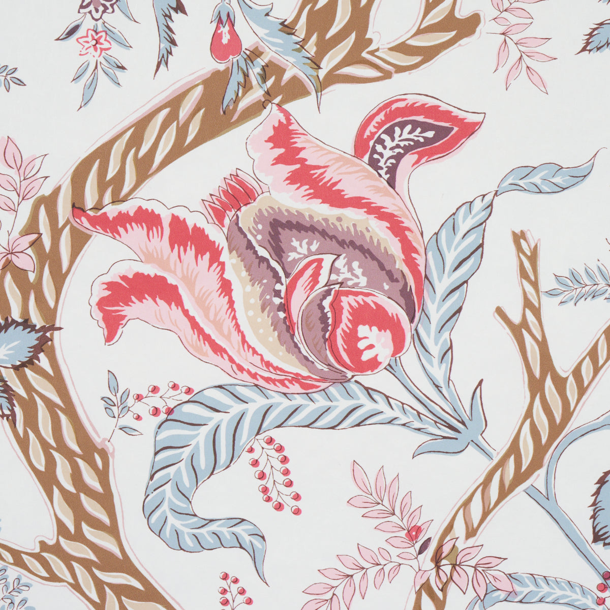 AVELINE-ROSE-SCHUMACHER-5013192