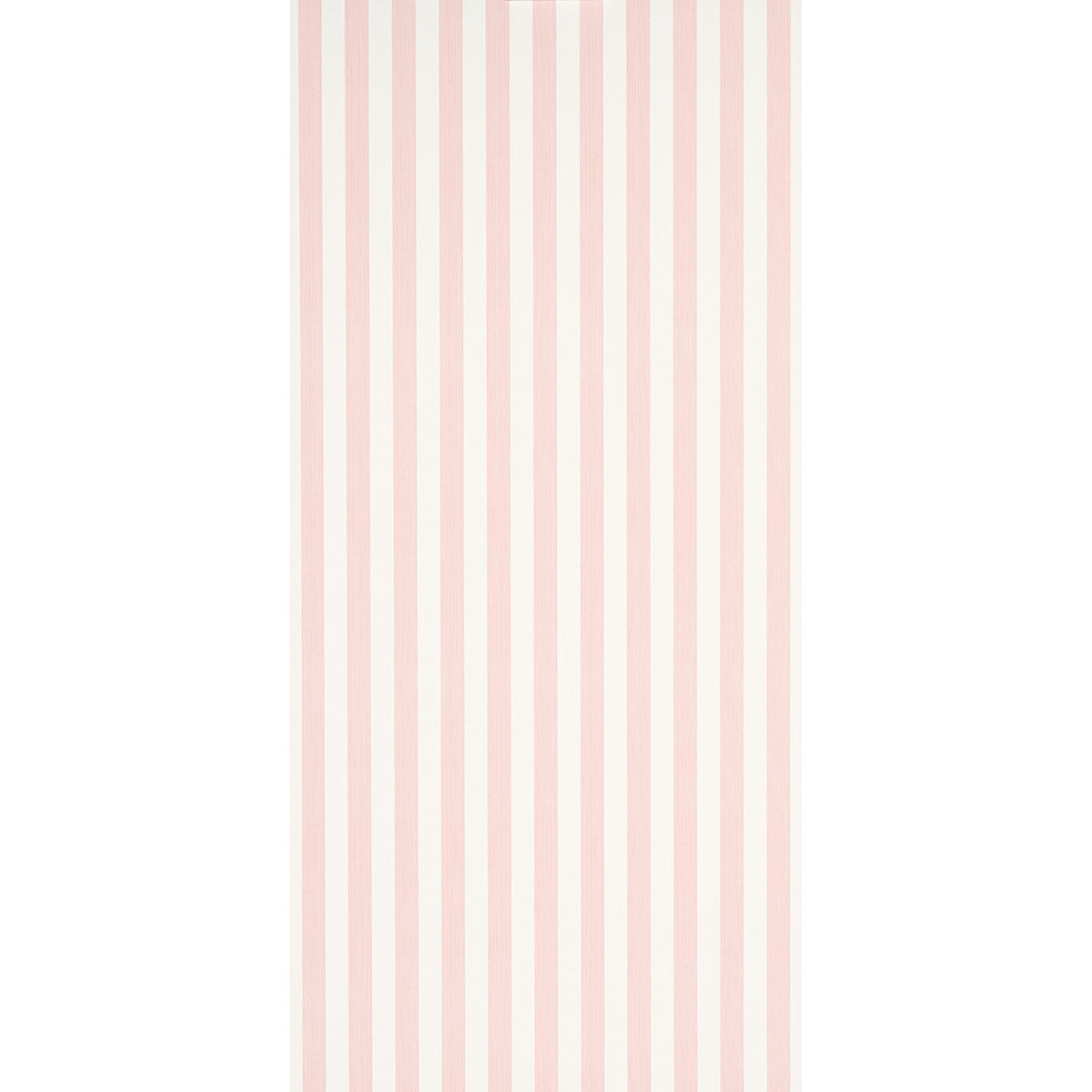 EDWIN-STRIPE-MEDIUM-PETAL-SCHUMACHER-5013610