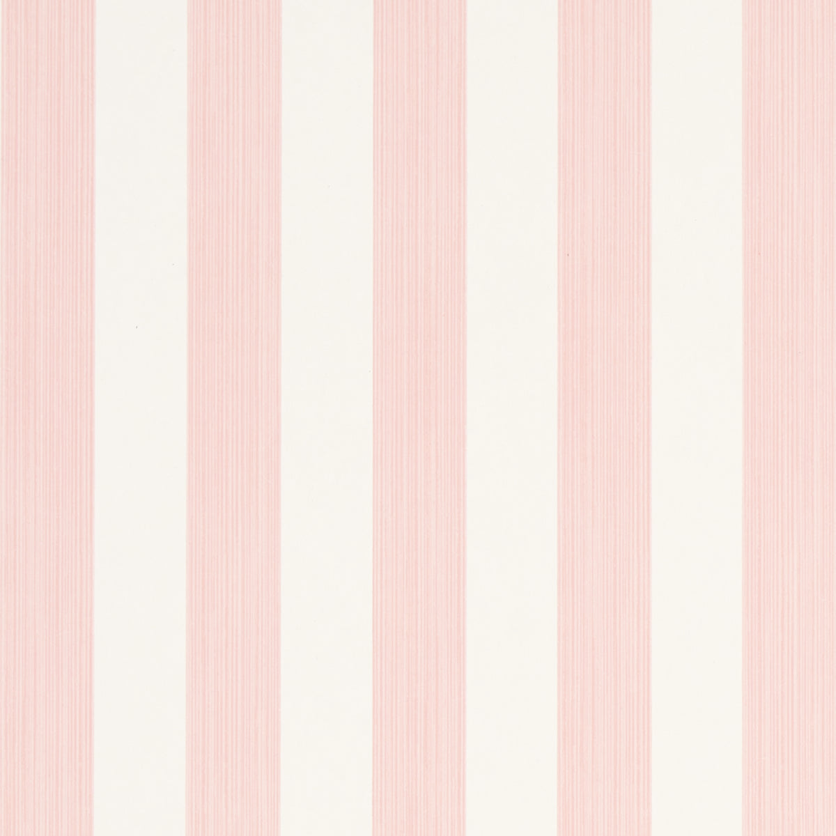 EDWIN-STRIPE-MEDIUM-PETAL-SCHUMACHER-5013610