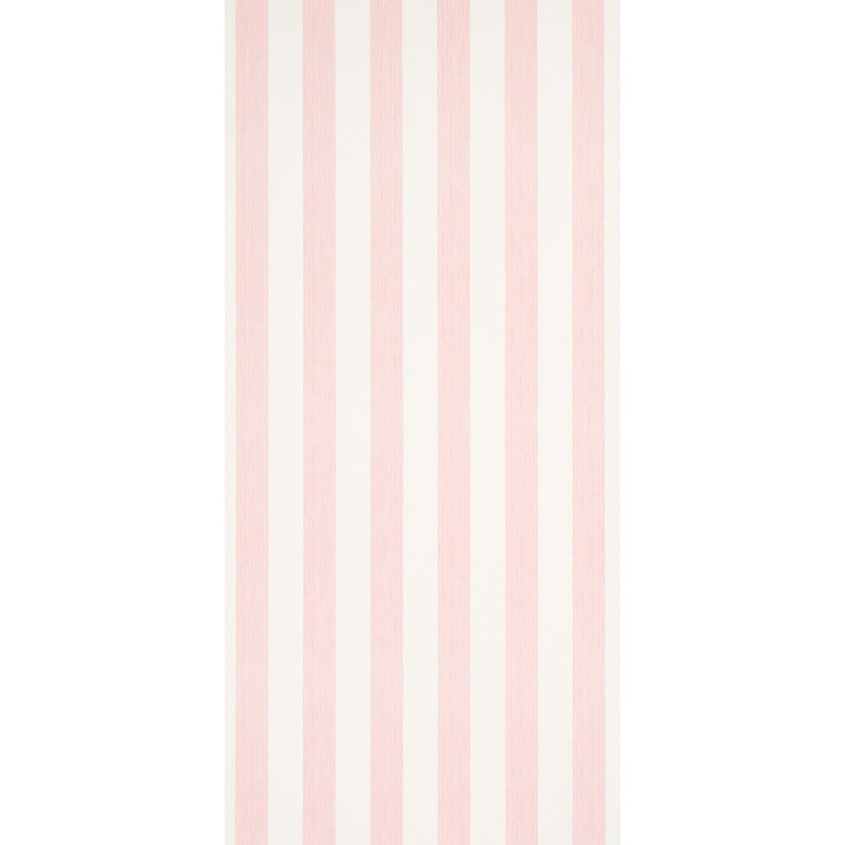 EDWIN-STRIPE-WIDE-PETAL-SCHUMACHER-5013620