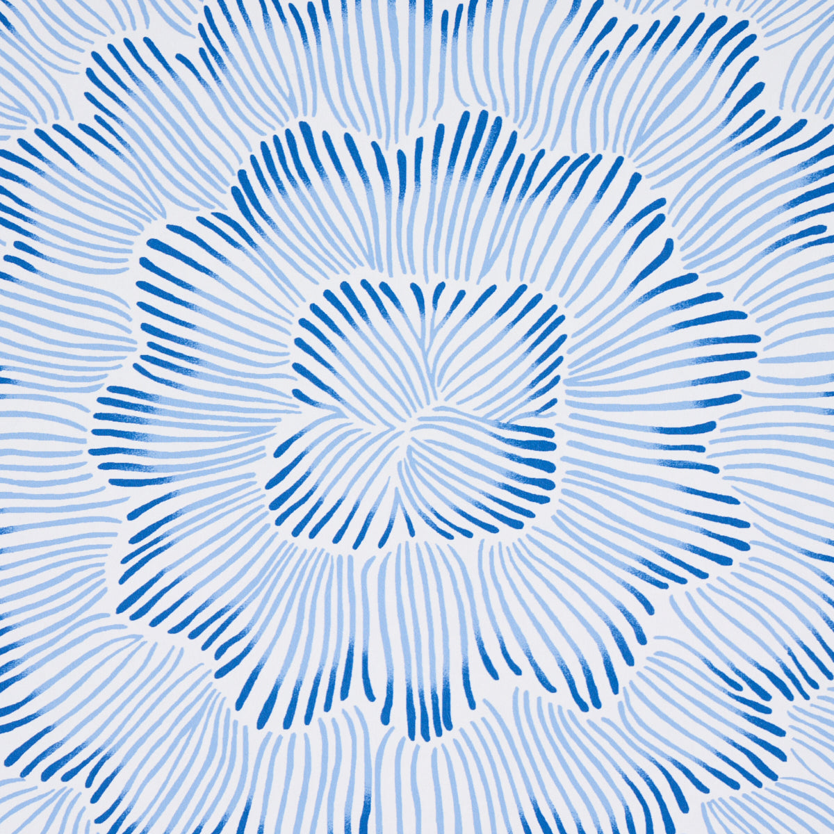 FEATHER-BLOOM-BLUE-SCHUMACHER-5013820