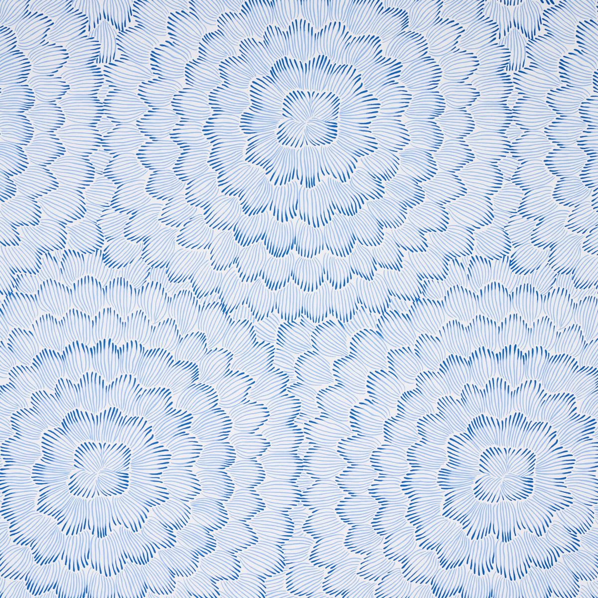 FEATHER-BLOOM-BLUE-SCHUMACHER-5013820