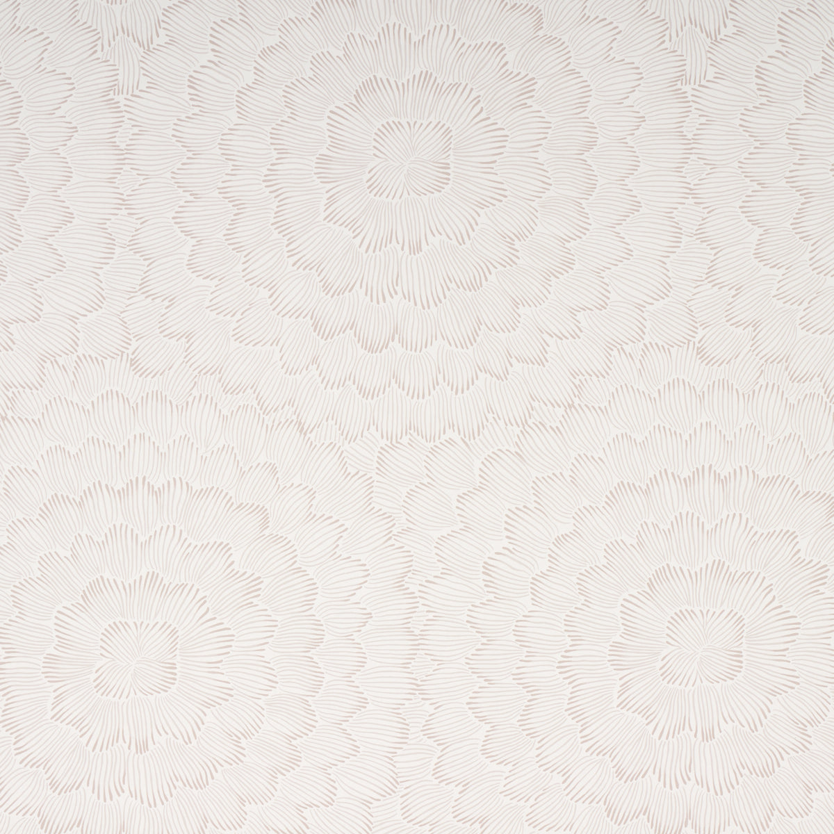 FEATHER-BLOOM-SOFT-NEUTRAL-SCHUMACHER-5013821