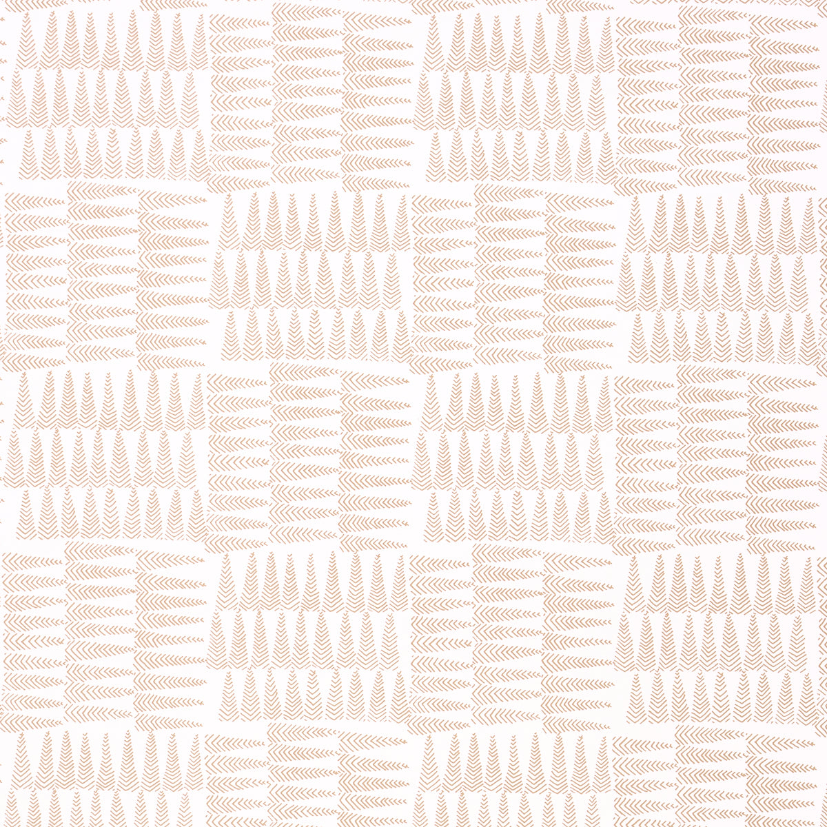 CHARLIE-NEUTRAL-SCHUMACHER-5013930