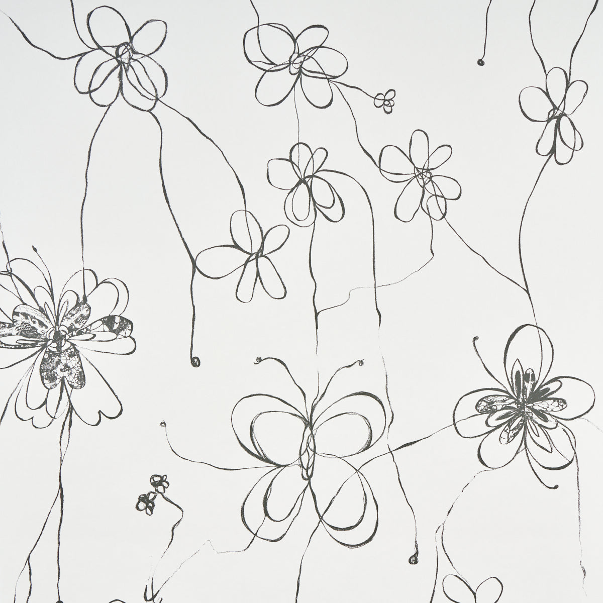 COME-BACK-AS-A-FLOWER-SOFT-BLACK-SCHUMACHER-5014090