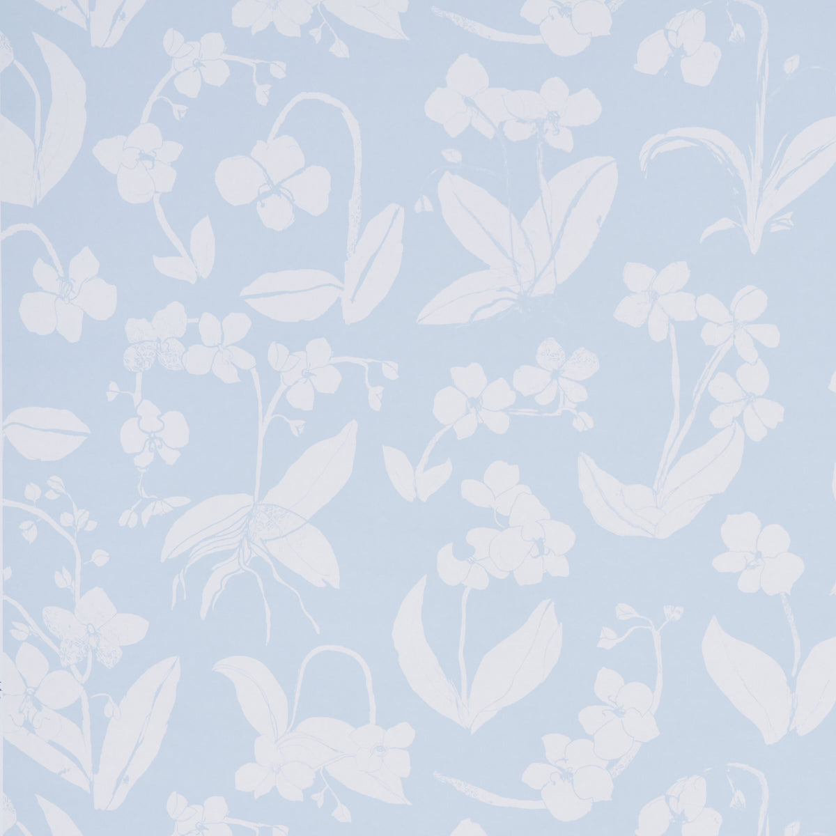 ORCHIDS-HAVE-DREAMS-SKY-SCHUMACHER-5014101