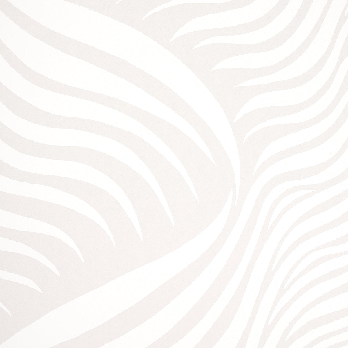 SAUVAGE-DOVE-SCHUMACHER-5014151