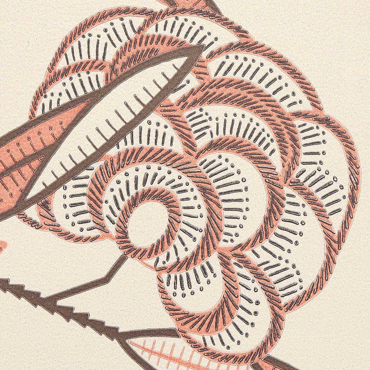 JACOBS-TREE-OLD-ROSE-SCHUMACHER-5015030