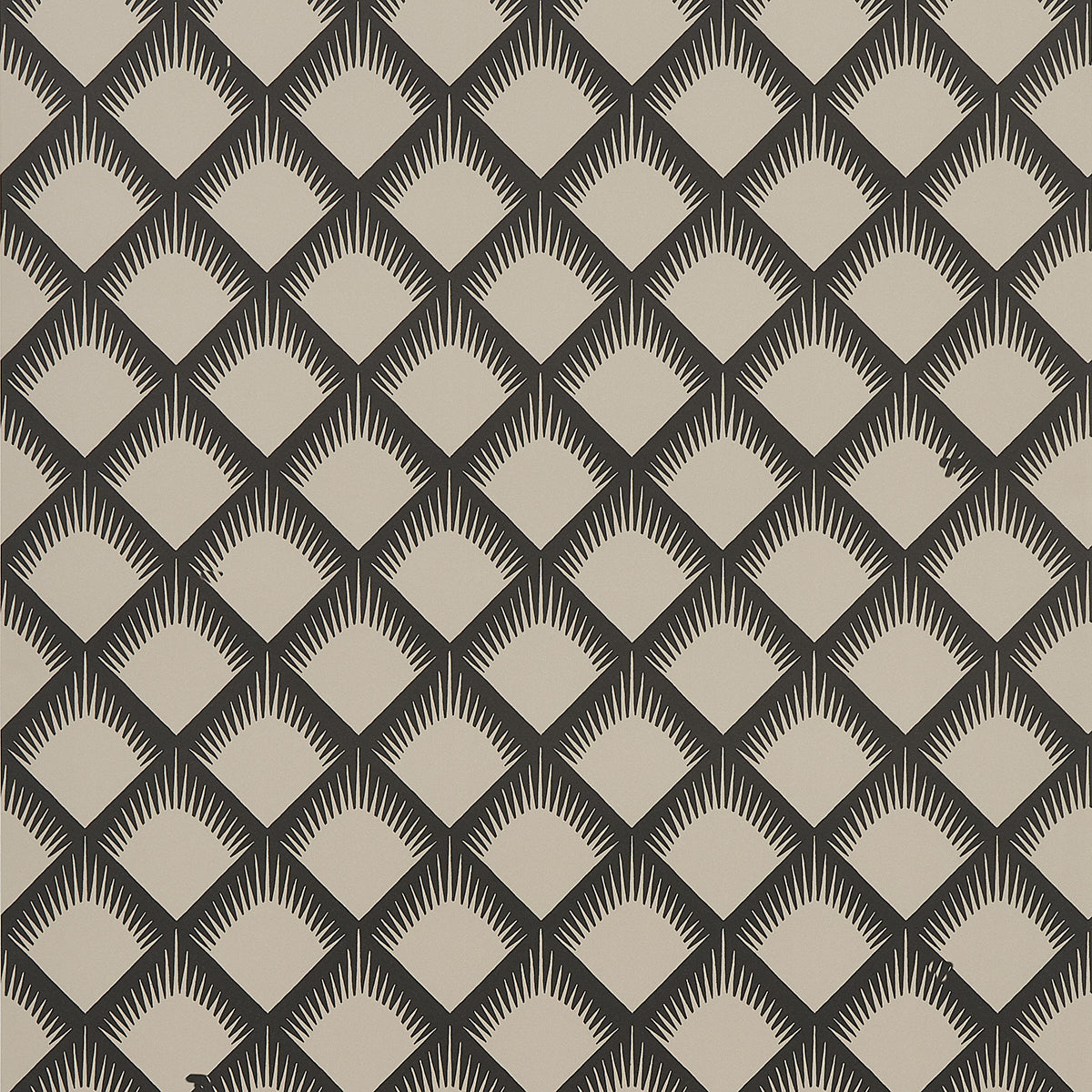 MAIZE-BLACK-CREAM-SCHUMACHER-5015040