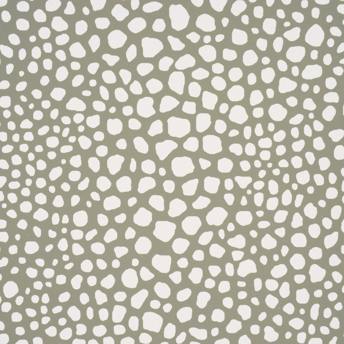 FICKLE-TEXTURE-KELP-SCHUMACHER-5015310