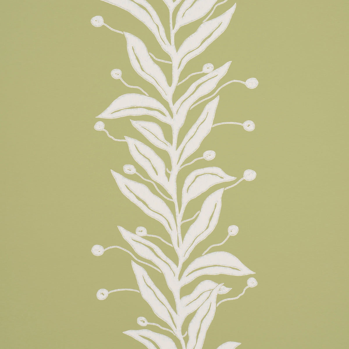 TENDRIL-STRIPE-OLIVE-SCHUMACHER-5015492
