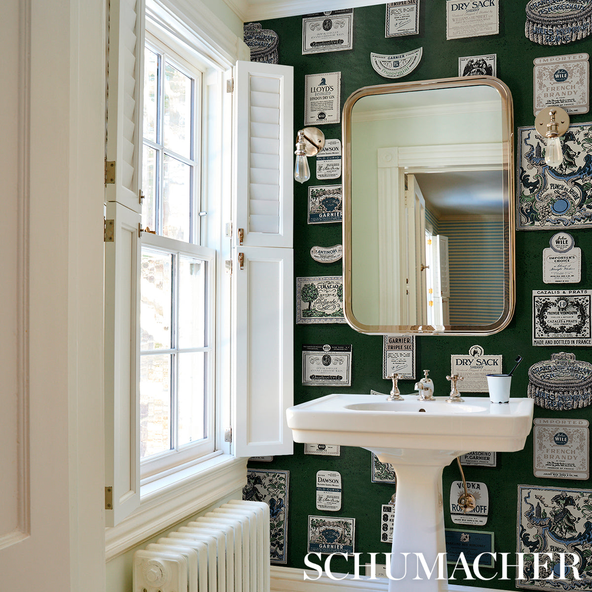 SALUD-ROSEMARY-SCHUMACHER-5015602