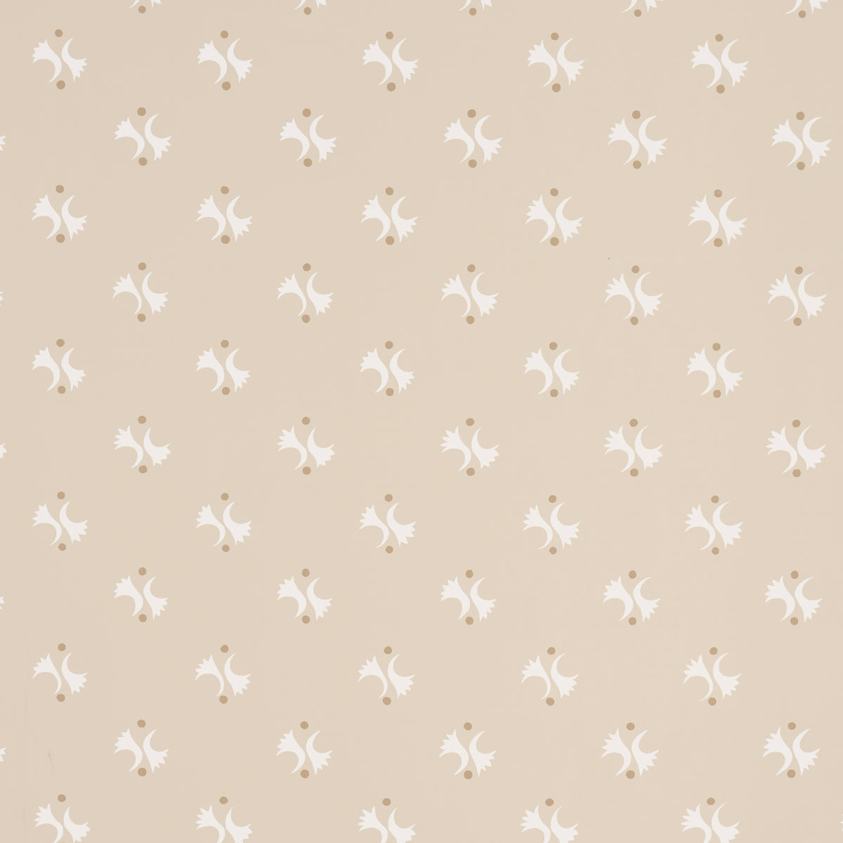 LAVIGNE-NATURAL-SCHUMACHER-5015731