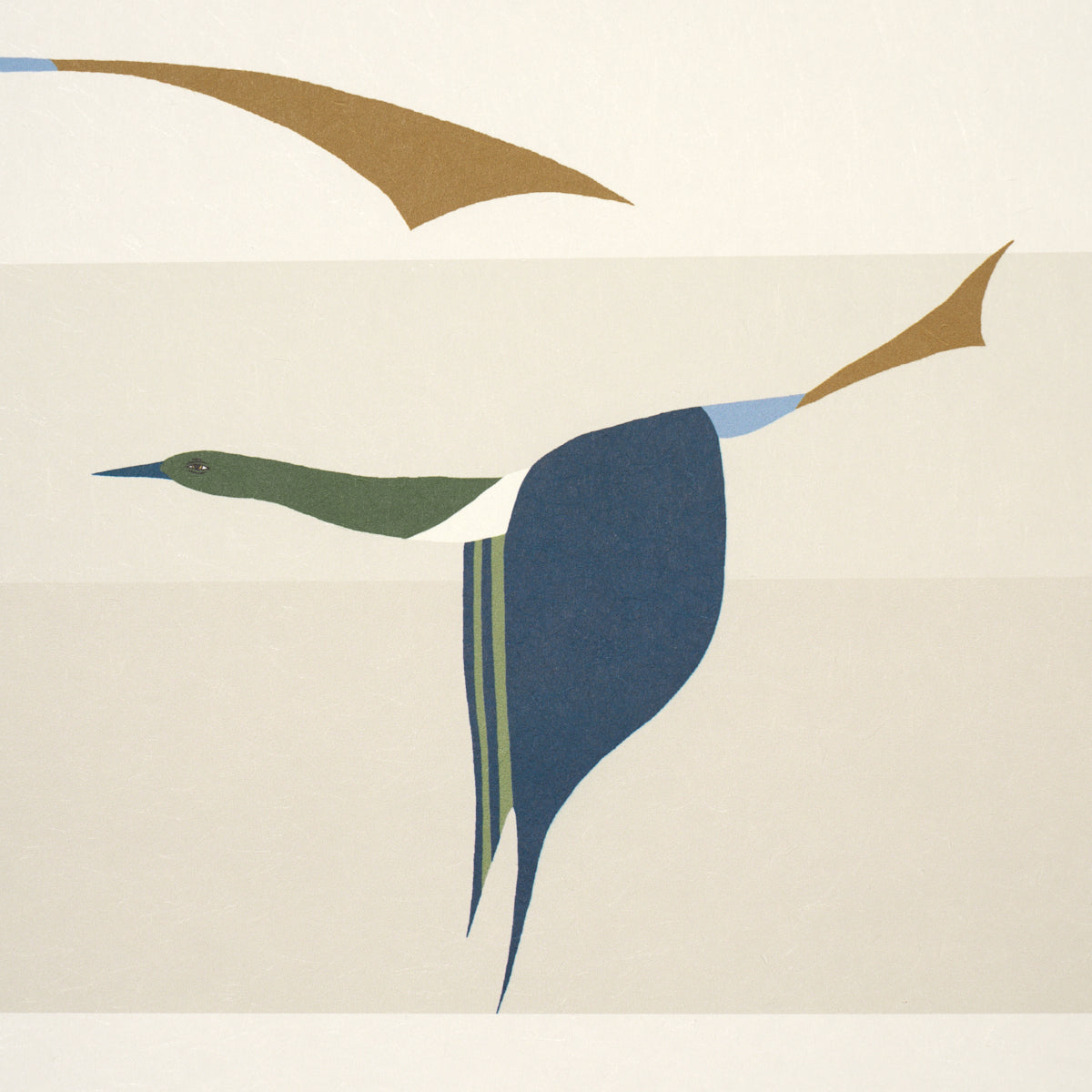 FLYING-WEST-BLUE-SCHUMACHER-5015851
