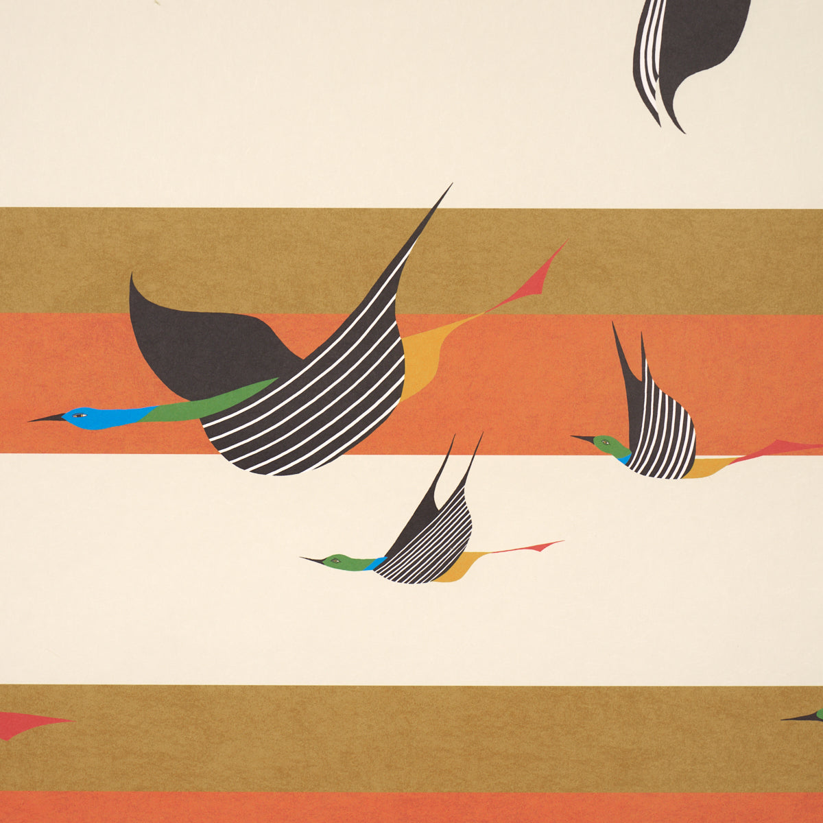 FLYING-WEST-ORANGE-SCHUMACHER-5015852