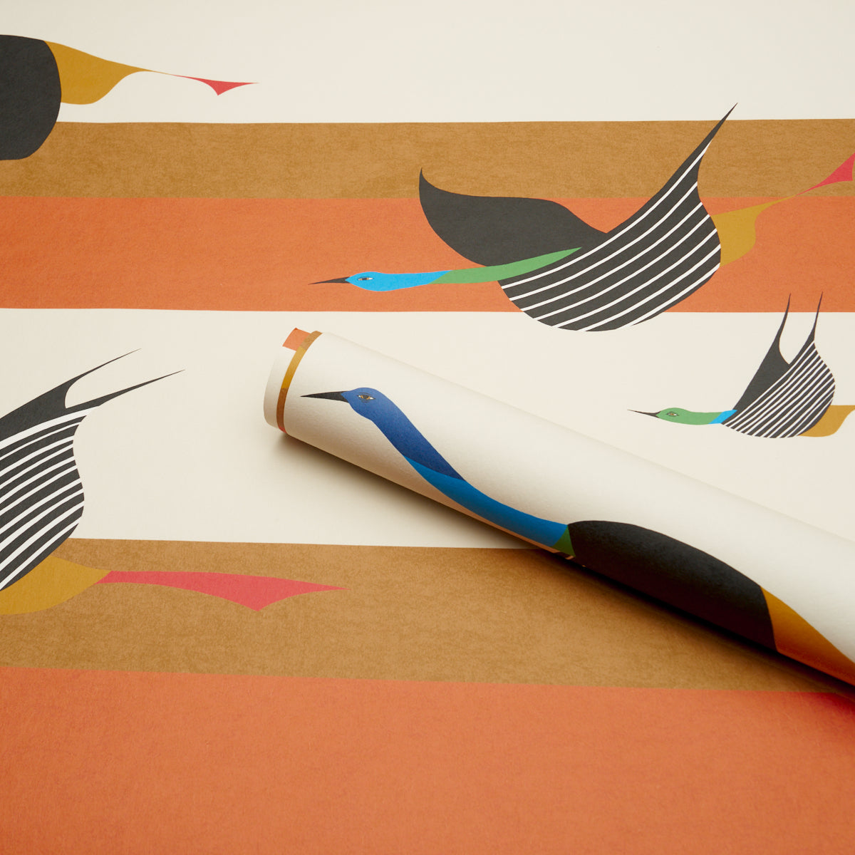 FLYING-WEST-ORANGE-SCHUMACHER-5015852