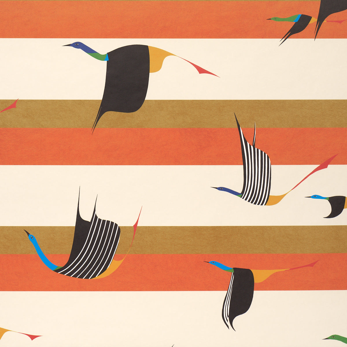 FLYING-WEST-ORANGE-SCHUMACHER-5015852