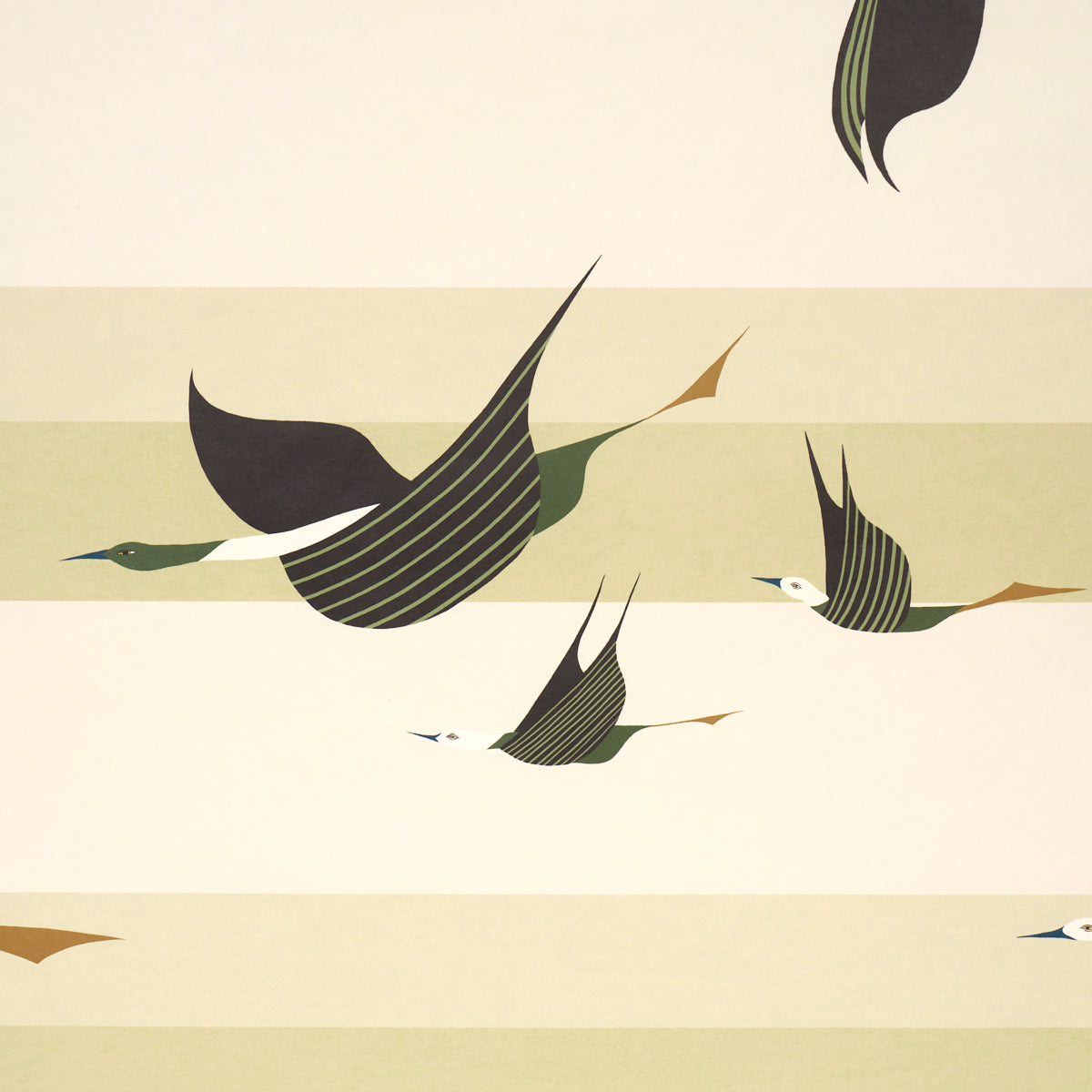 FLYING-WEST-GREEN-SCHUMACHER-5015853