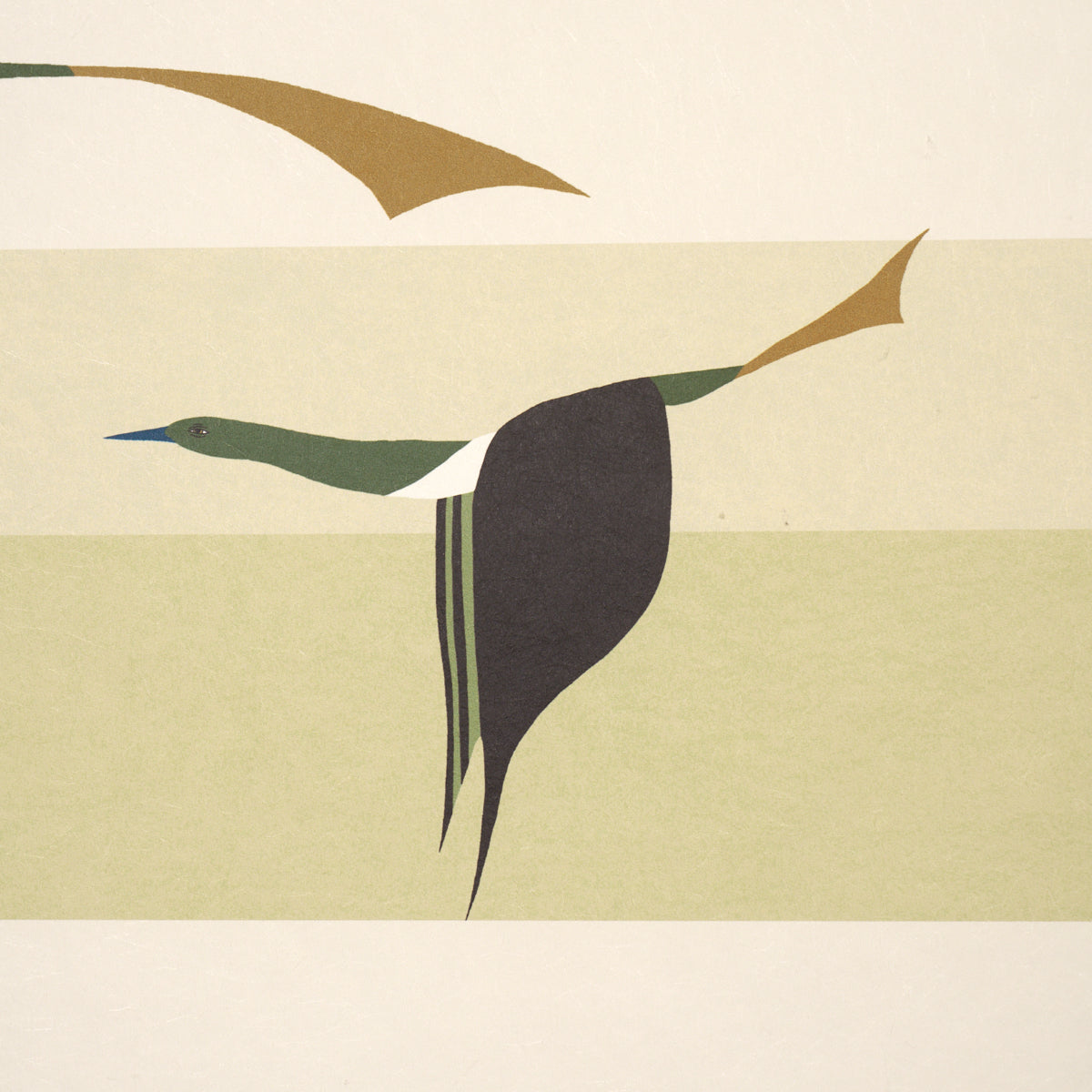 FLYING-WEST-GREEN-SCHUMACHER-5015853