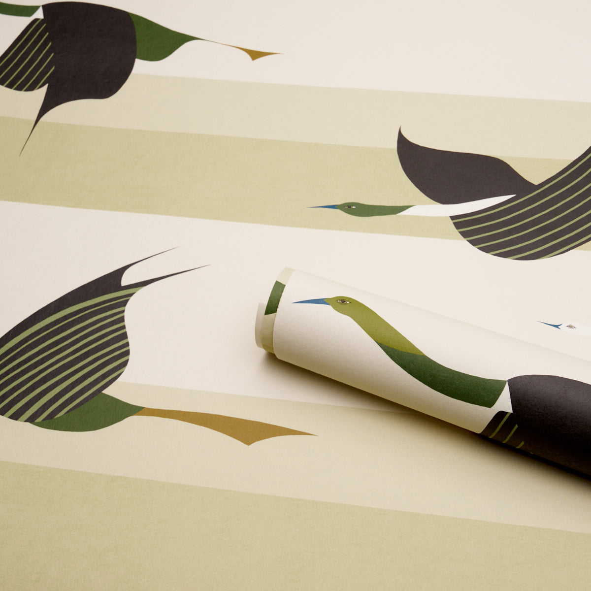 FLYING-WEST-GREEN-SCHUMACHER-5015853