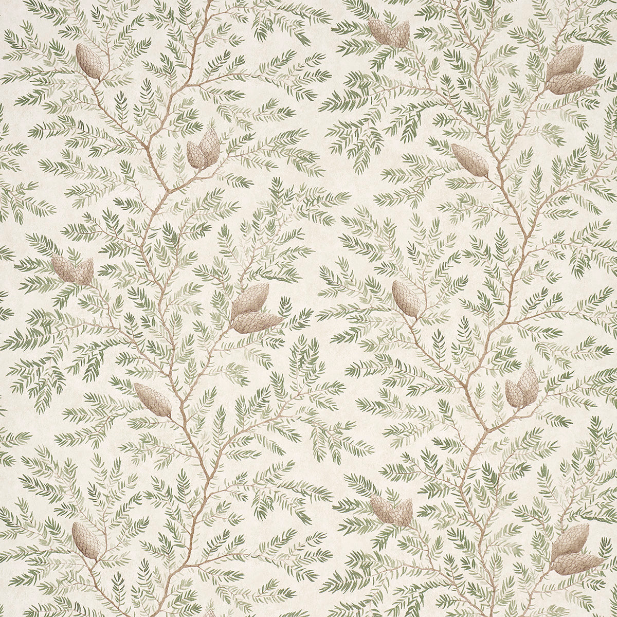 PINEWOOD-SPRUCE-SCHUMACHER-5016090