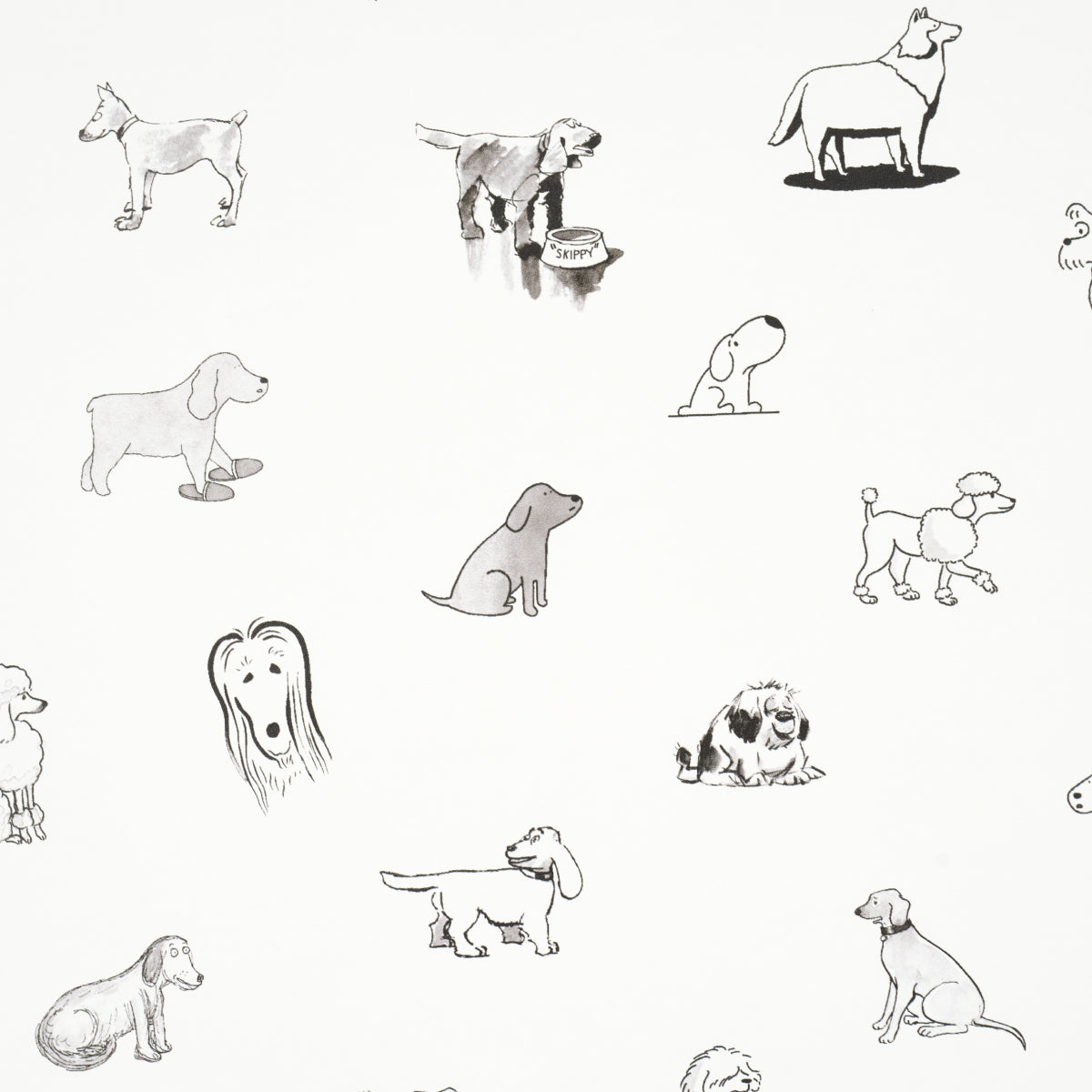 GOOD-DOGS-EVERYWHERE-BLACK-WHITE-SCHUMACHER-5016130