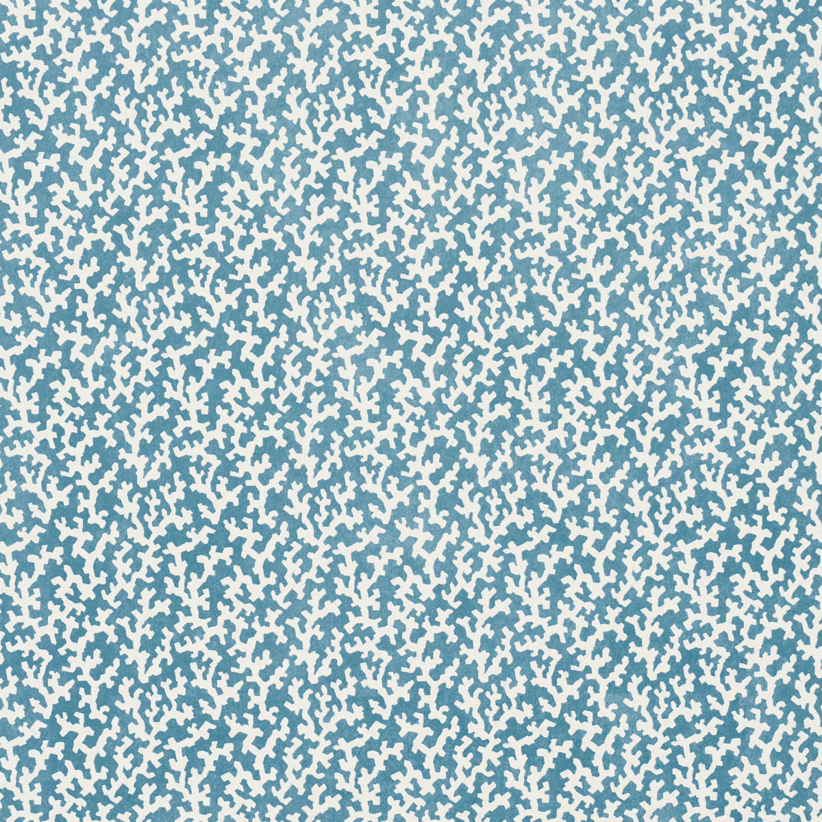 FOLLY-MARINE-SCHUMACHER-5016290