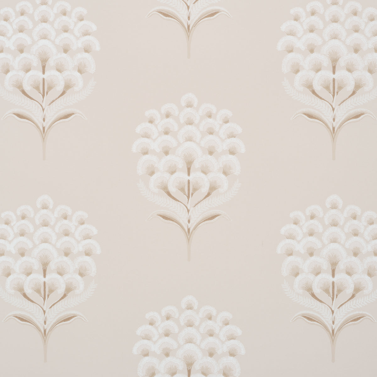 AURELIA-LIMESTONE-SCHUMACHER-5016340