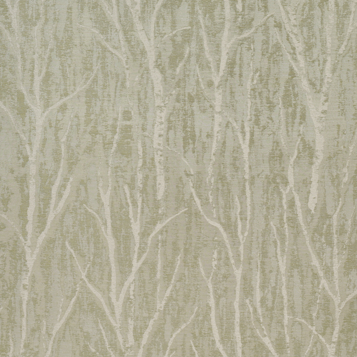 KOMOREBI-ILLUMINATED-FOREST-SCHUMACHER-5016591