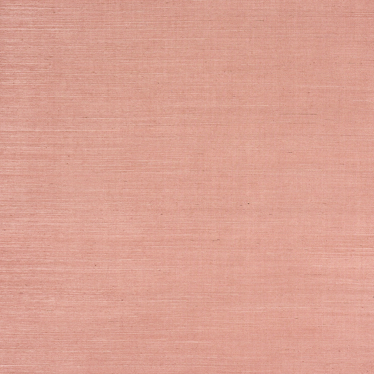 HARUKI-SISAL-36-HOURS-IN-MARRAKESH-SCHUMACHER-5016850