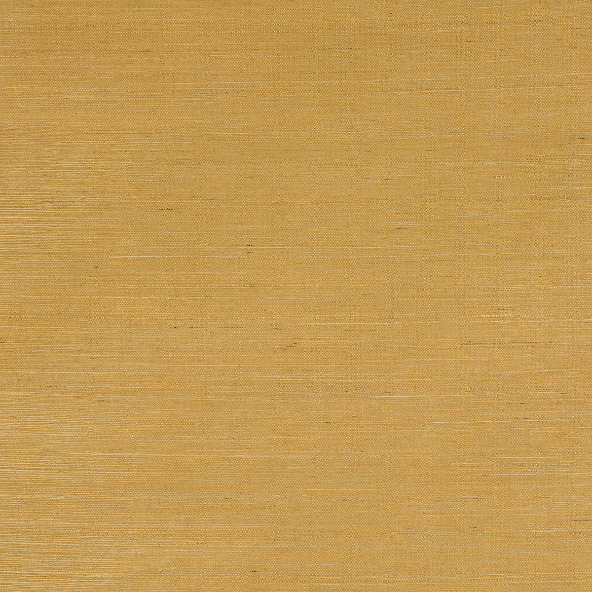 HARUKI-SISAL-TANLINES-SCHUMACHER-5016852