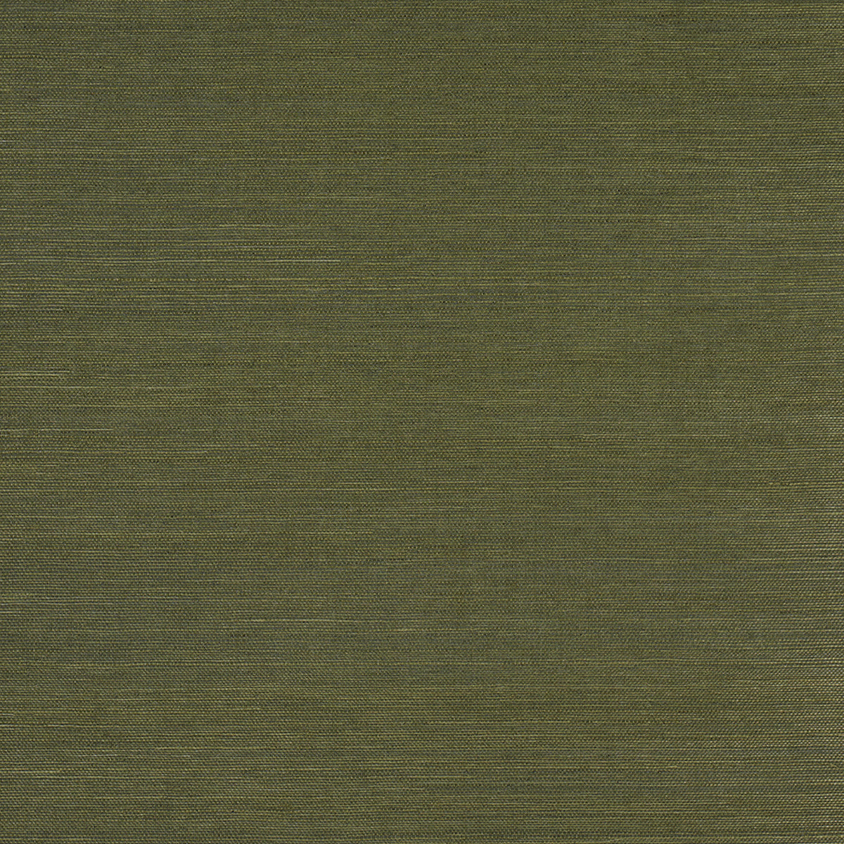 HARUKI-SISAL-NIGHT-ON-EARTH-SCHUMACHER-5016853