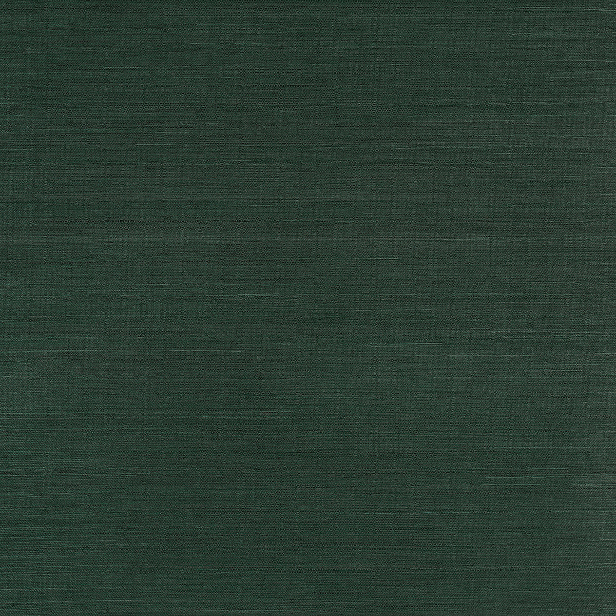 HARUKI-SISAL-KISMET-SCHUMACHER-5016855