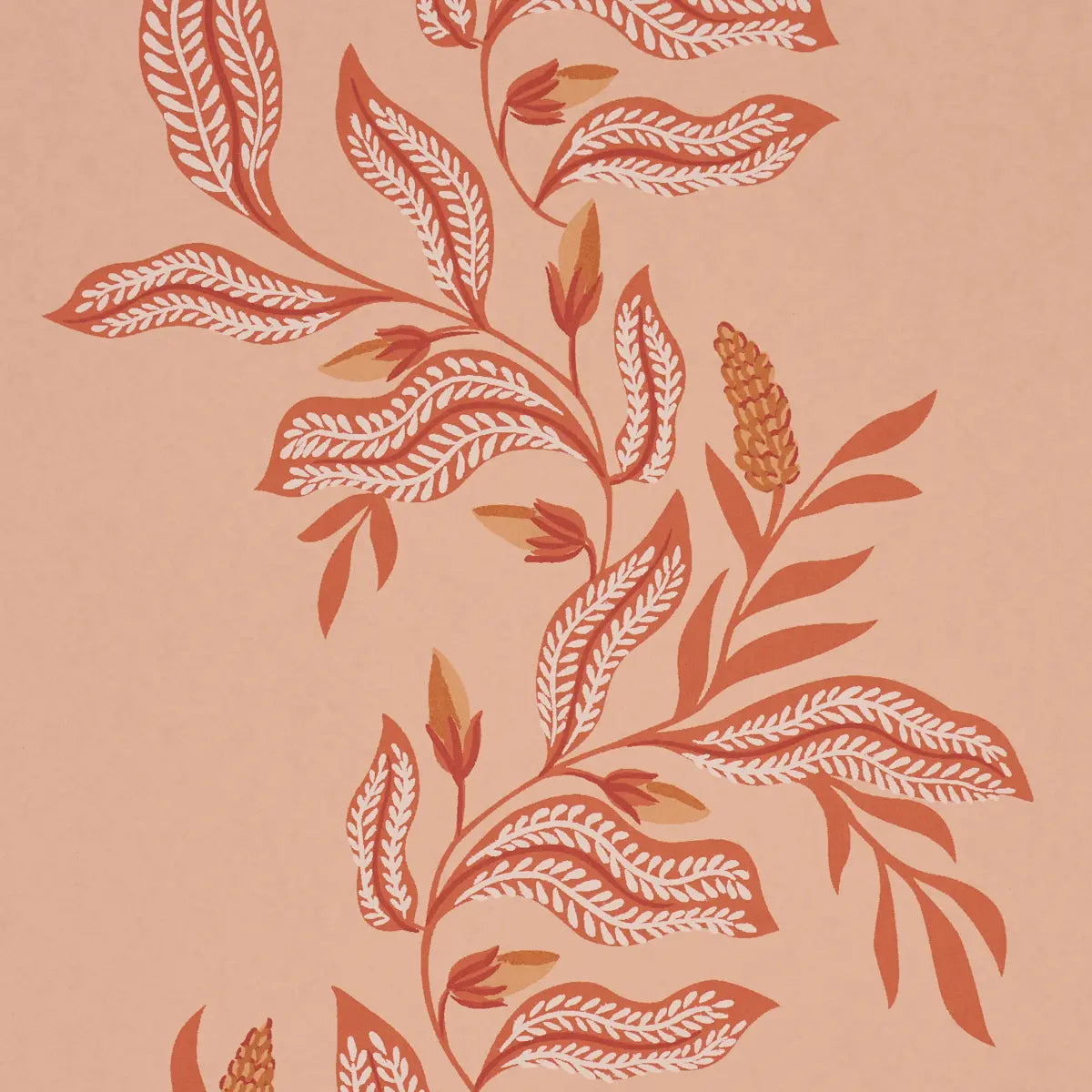 Vagary Vines - Papaya - Schumacher 5016971 Wallcovering