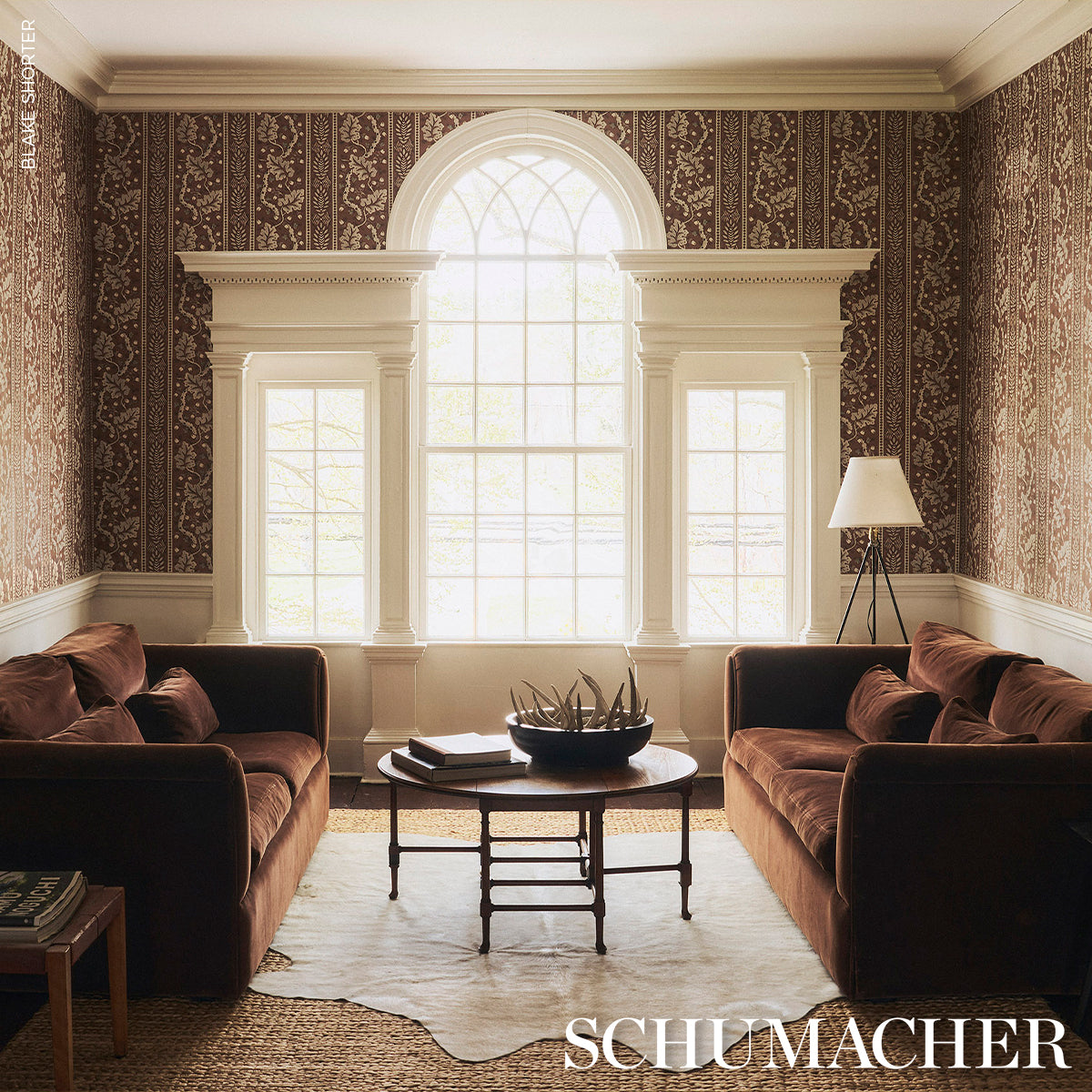 RICHMOND-HOUSE-MOCHA-SCHUMACHER-5017011