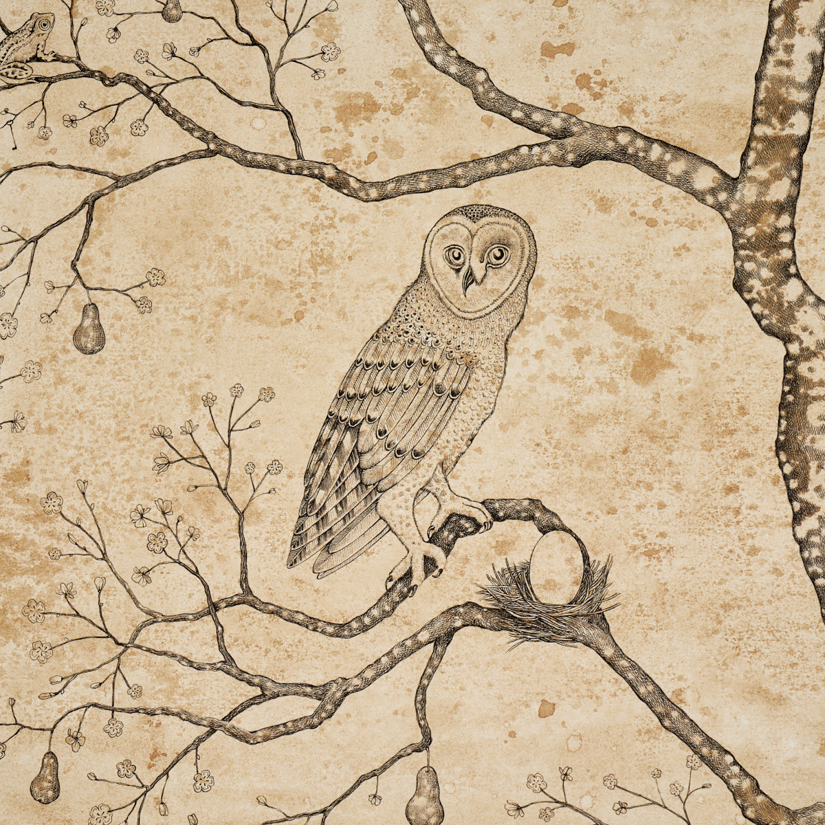 LATTESA-NELLA-NOTTE-PARCHMENT-SCHUMACHER-5017090