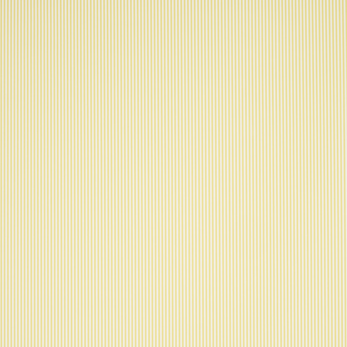EMMA-STRIPE-NARROW-YELLOW-SCHUMACHER-5017196