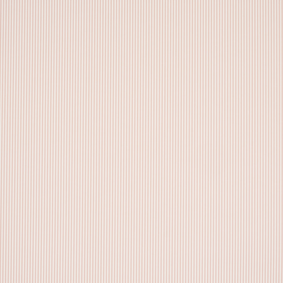 EMMA-STRIPE-NARROW-BLUSH-SCHUMACHER-5017199