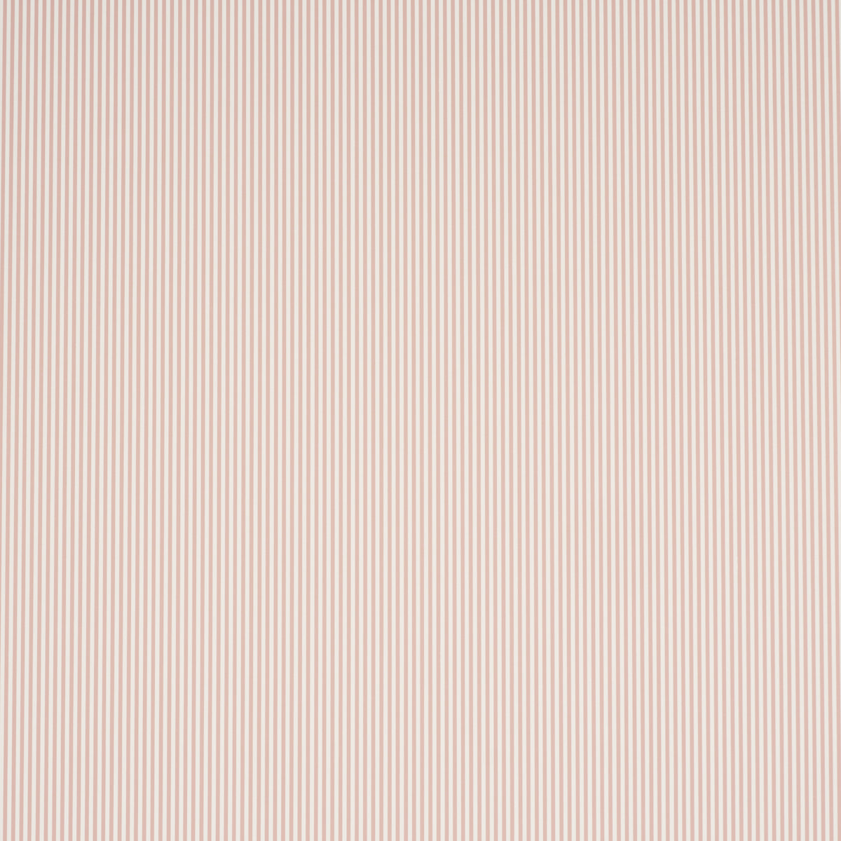 EMMA-STRIPE-NARROW-ROSE-SCHUMACHER-5017200