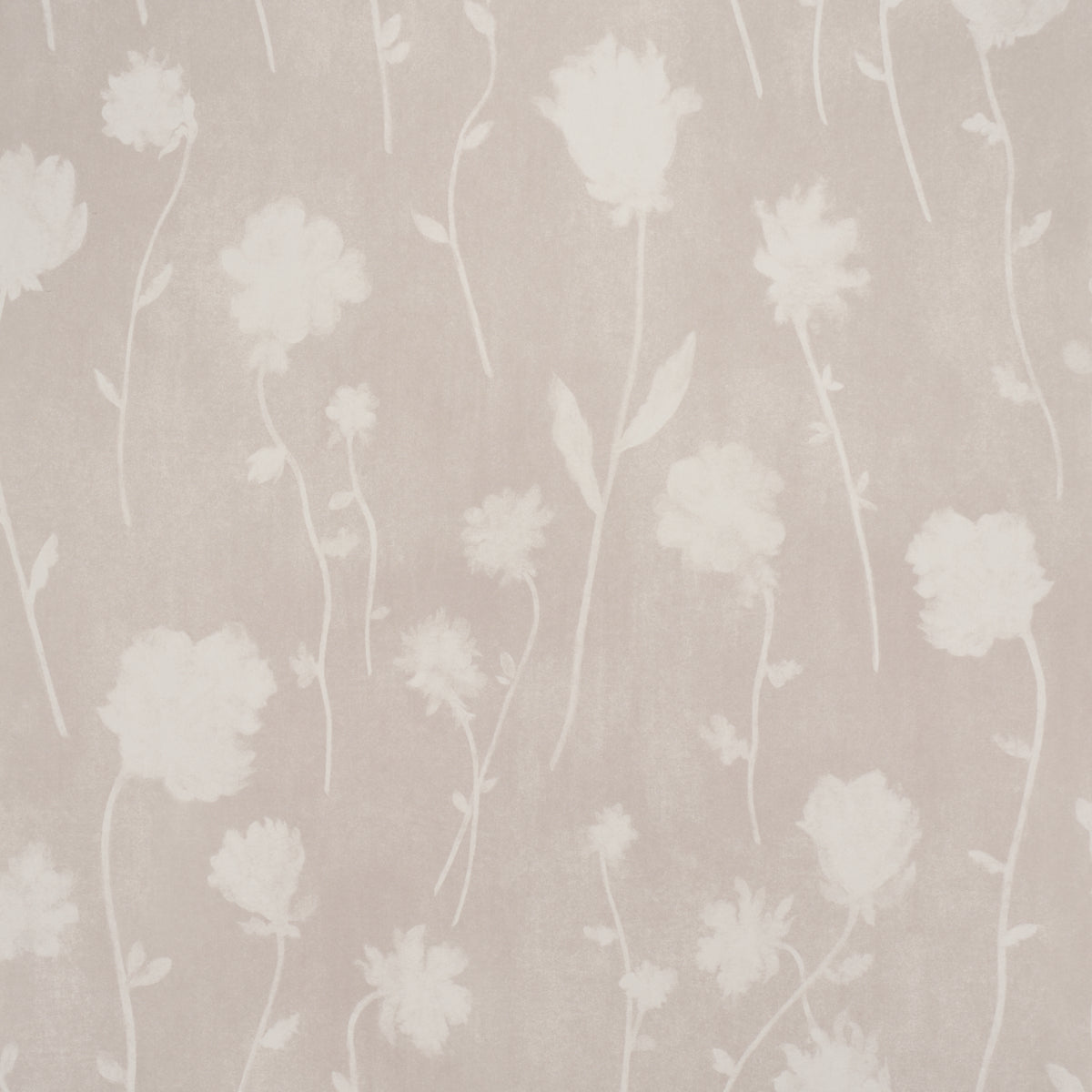 BEFORE-MIDNIGHT-LIGHT-BEIGE-SCHUMACHER-5017362