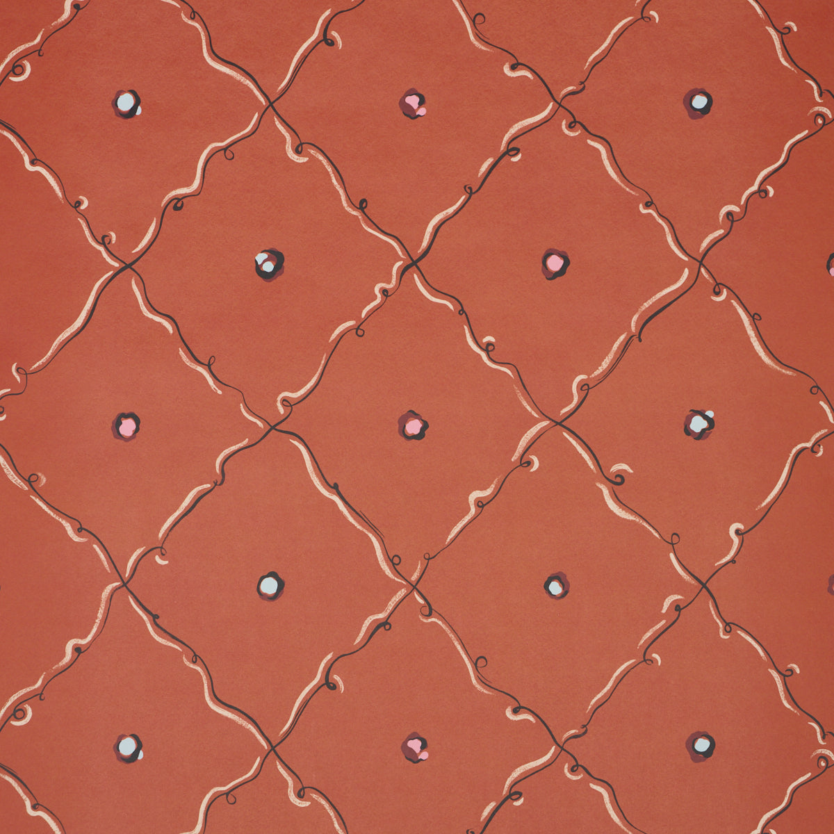 COLETTE-RED-SCHUMACHER-5017370