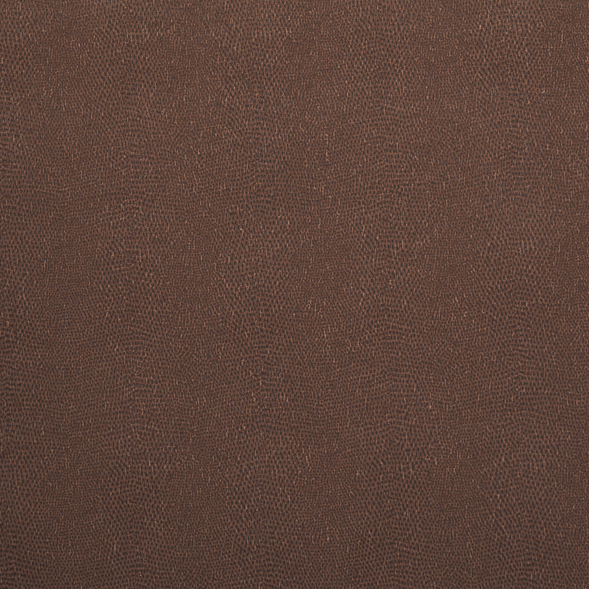 SNAKESKIN-VINYL-SADDLE-SCHUMACHER-5017502