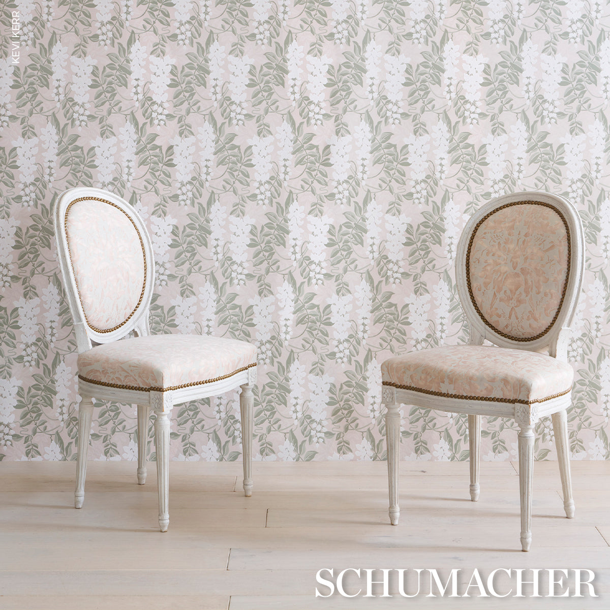 LUCIA-WISTERIA-SAGE-SCHUMACHER-5017530