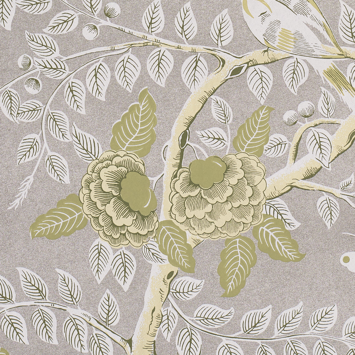 TOLE-BIRD-SPRING-SCHUMACHER-5017542