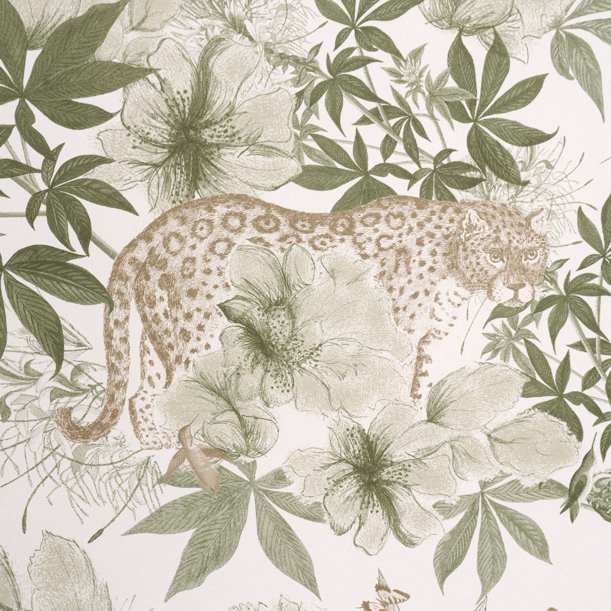 NOCTURNUM-IVORY-OLIVE-SCHUMACHER-5017570