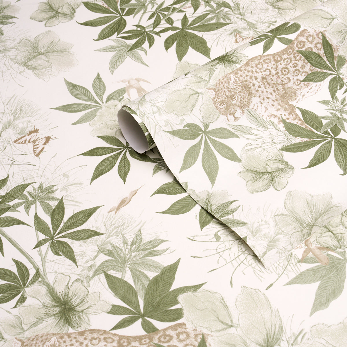 NOCTURNUM-IVORY-OLIVE-SCHUMACHER-5017570