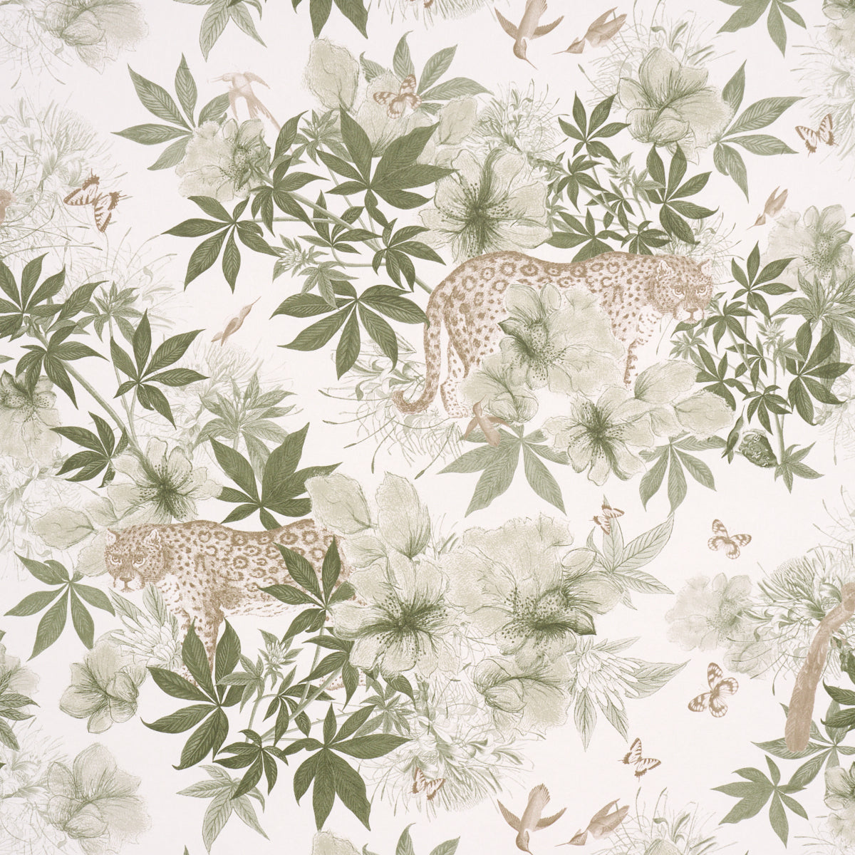 NOCTURNUM-IVORY-OLIVE-SCHUMACHER-5017570