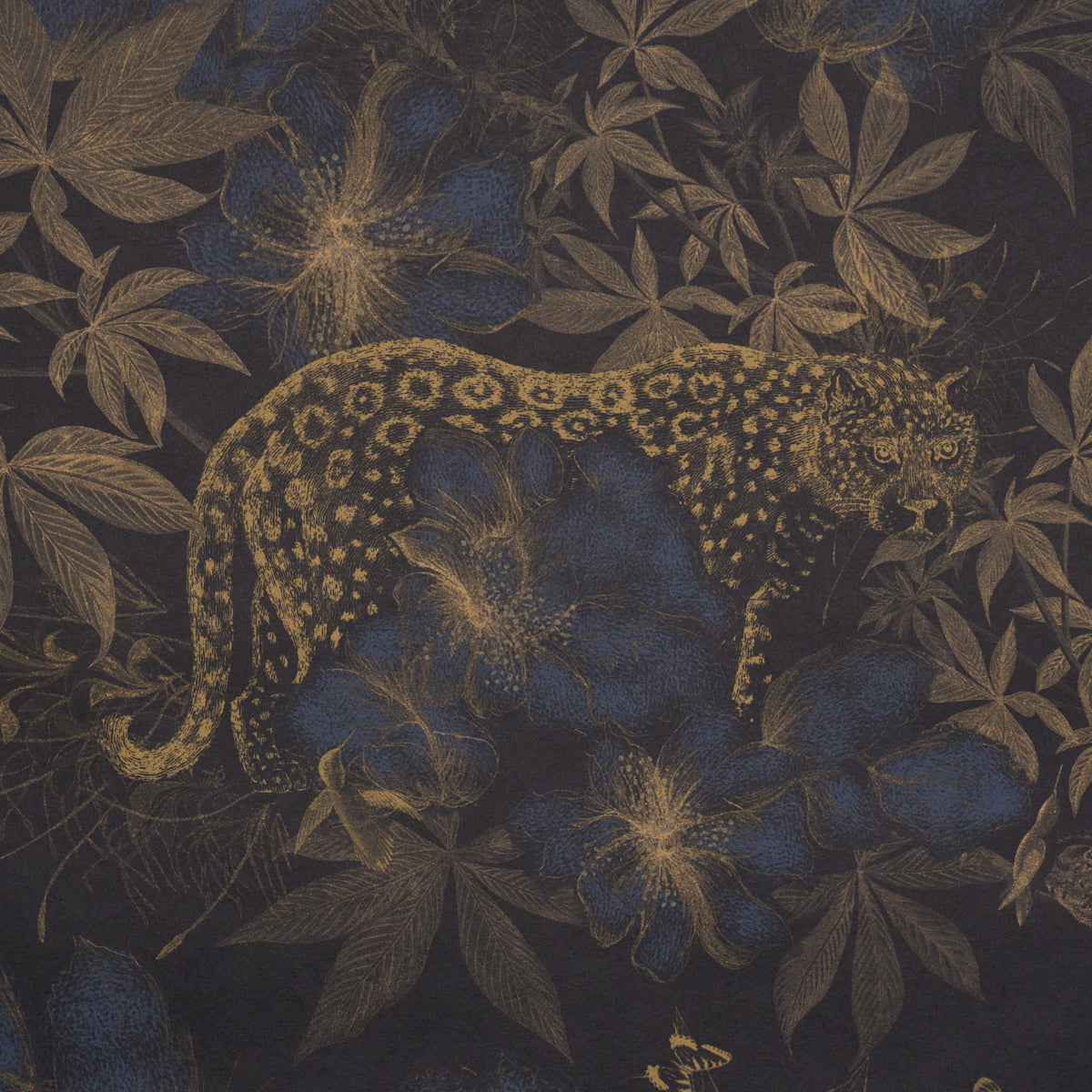 NOCTURNUM-INDIGO-OCHRE-SCHUMACHER-5017571