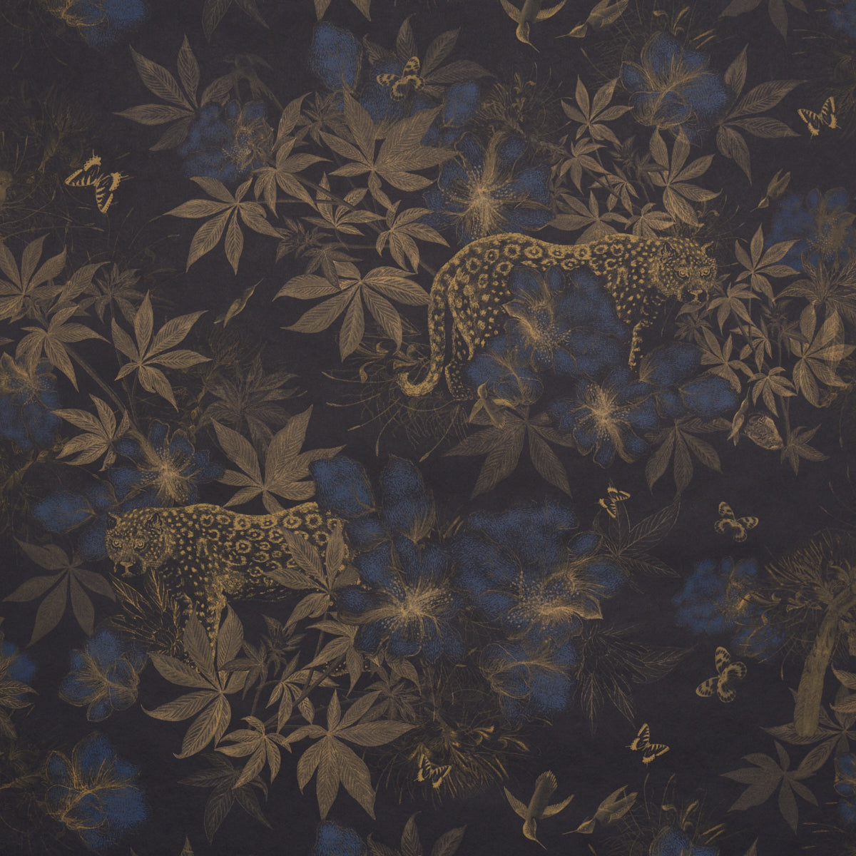 NOCTURNUM-INDIGO-OCHRE-SCHUMACHER-5017571