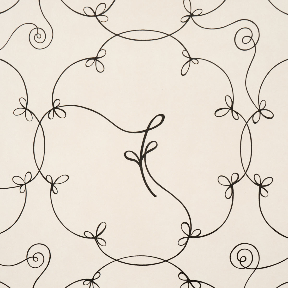 BRODERIE-BLACK-IVORY-SCHUMACHER-5017852